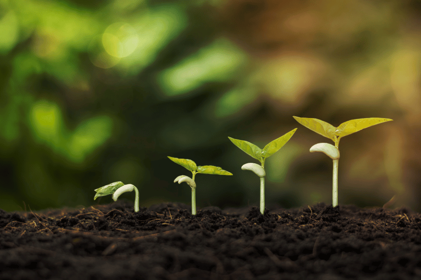 Growth Beyond Metrics