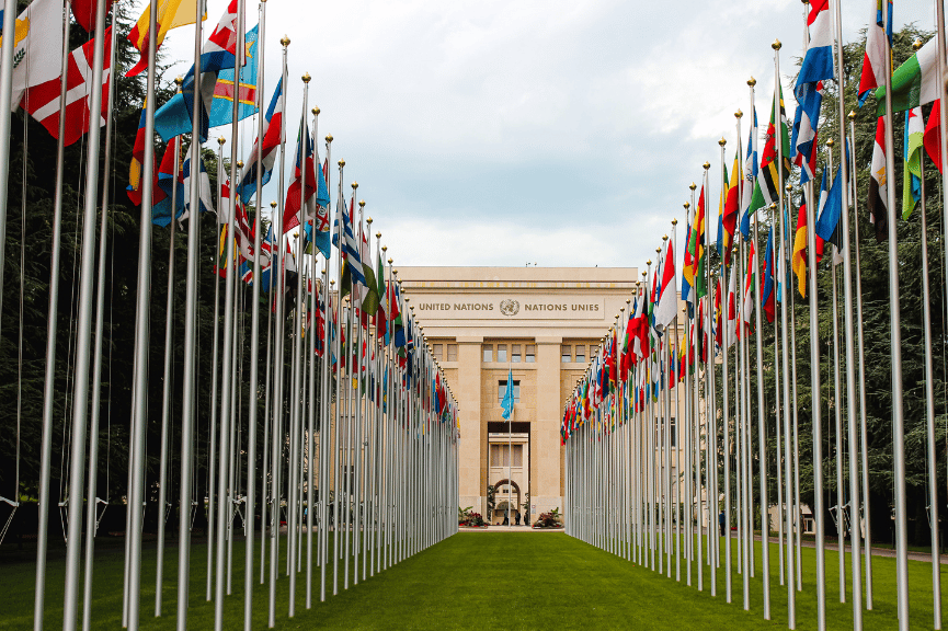 International Expansion